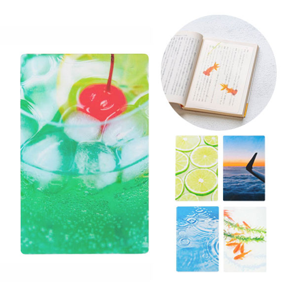 透明写真栞 [全5種] moments AND001 [M便 1/200]