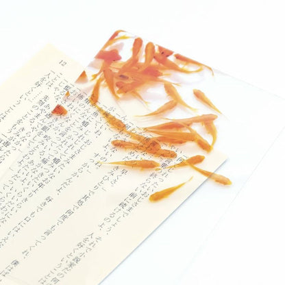 透明写真栞 [全5種] moments AND001 [M便 1/200]