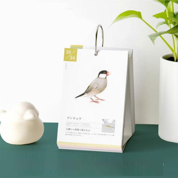 366日の誕生鳥カレンダー -世界の美しい鳥- いろは出版 GTH-01