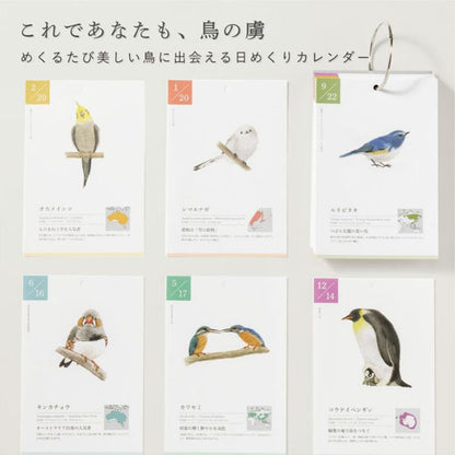366日の誕生鳥カレンダー -世界の美しい鳥- いろは出版 GTH-01