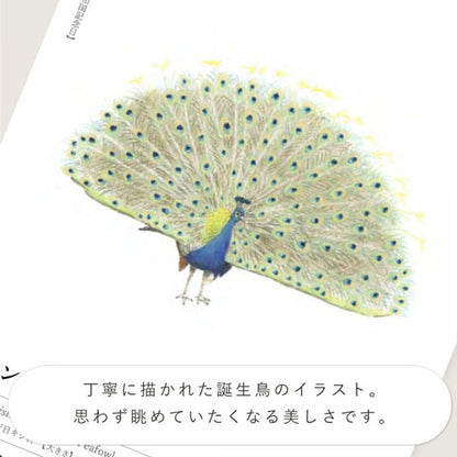 366日の誕生鳥カレンダー -世界の美しい鳥- いろは出版 GTH-01