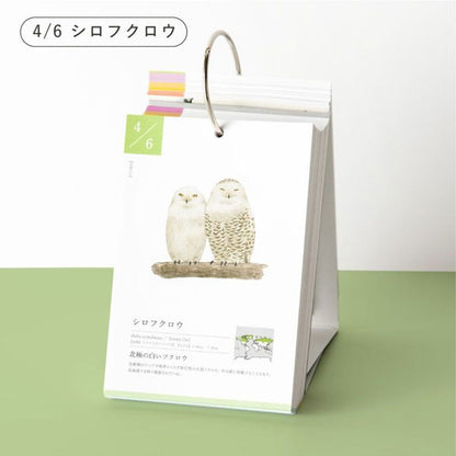 366日の誕生鳥カレンダー -世界の美しい鳥- いろは出版 GTH-01