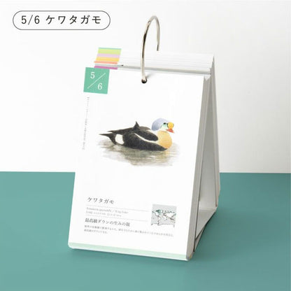 366日の誕生鳥カレンダー -世界の美しい鳥- いろは出版 GTH-01