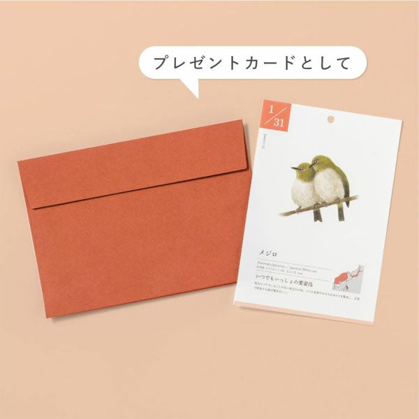 366日の誕生鳥カレンダー -世界の美しい鳥- いろは出版 GTH-01