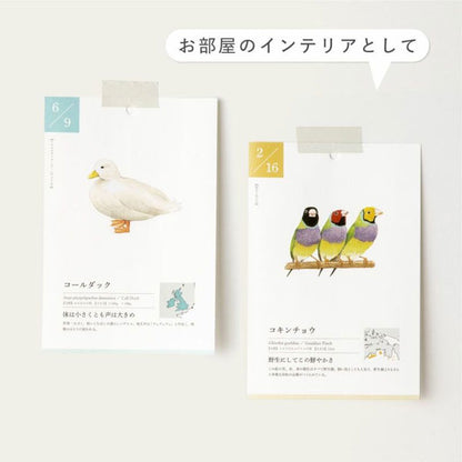 366日の誕生鳥カレンダー -世界の美しい鳥- いろは出版 GTH-01