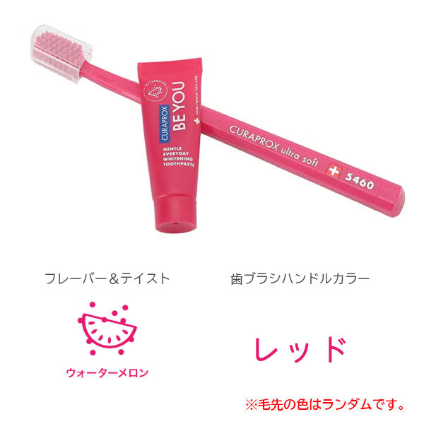BE YOUシリーズ 歯ブラシ・歯みがき粉セット [全6色] クラプロックス