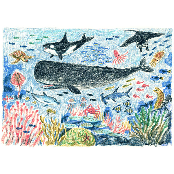 オーダー クレヨン画 遊泳 星 海のクレヨン SATELLITE CRAYON PROJECT [12色入り] MDS CRA-001 [M便