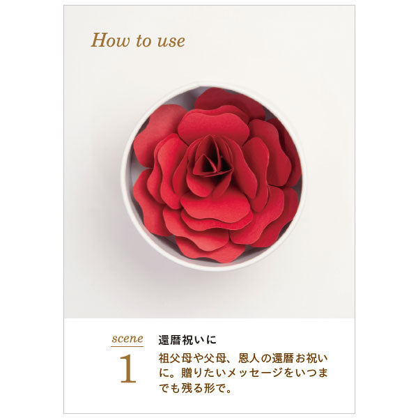 Hanafumi -はなふみ- 追加カード 5枚入り [全4色] 大阪書籍印刷 HF002-RD/PK/LB/YE