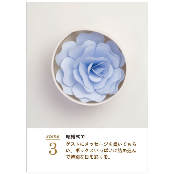 Hanafumi -はなふみ- [全4色] 大阪書籍印刷 HF-001RD1/PK1/LB1/YE1