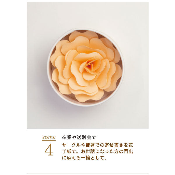 Hanafumi -はなふみ- 追加カード 5枚入り [全4色] 大阪書籍印刷 HF002-RD/PK/LB/YE