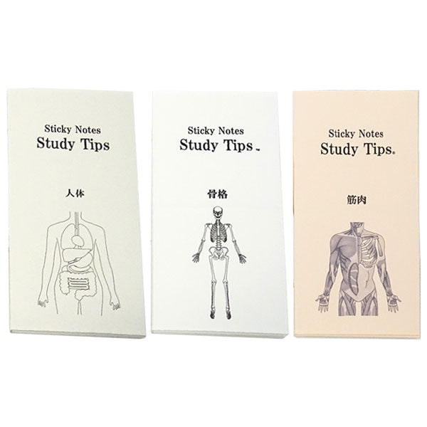 Sticky Note Study Tips【からだ】全3種 松浦紙器製作所 FS-SST003/6/8 [M便 1/6]