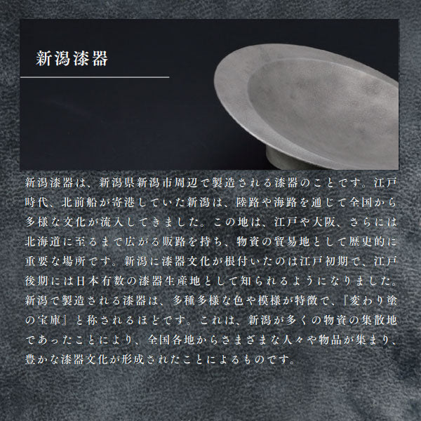 シリント 《CYLINT》 万年筆 新潟漆器 字幅：細字/太字/中字 [全2色] セーラー万年筆 10-6008 【送料無料*】