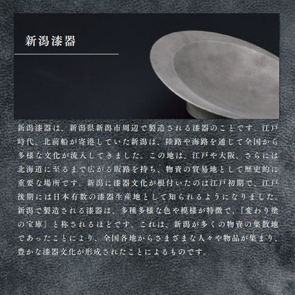 シリント 《CYLINT》 万年筆 新潟漆器 字幅：細字/太字/中字 [全2色] セーラー万年筆 10-6008 【送料無料*】