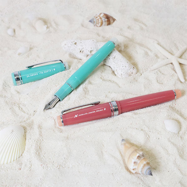 宗教法人マラヤ 限定生産CD 10枚セット 海の万年筆 スリム [全2色] 中細(MF)/中字(M) 14金 中型 化粧