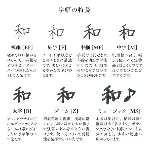 【取り寄せ品】万年筆 VEILIO《ヴェイリオ》 [パールブラック/ブルーパープル] ［EF/F/MF/M/B/Z/MS］ セーラー万年筆 11-5045/11-5046【送料無料*】