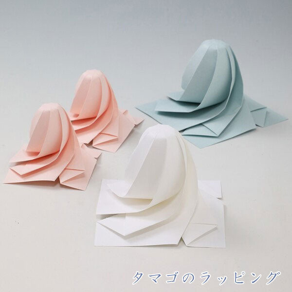 曲線折紙 [全3種類] トーヨー 006208～006210 [M便 1/3]