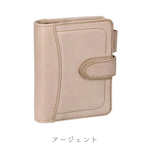 ダ・ヴィンチ ロロマホック 《Roroma Hook》 システム手帳 mini5サイズ リング内径：16mm [全3色] レイメイ藤井 DPM1414 【送料無料*】