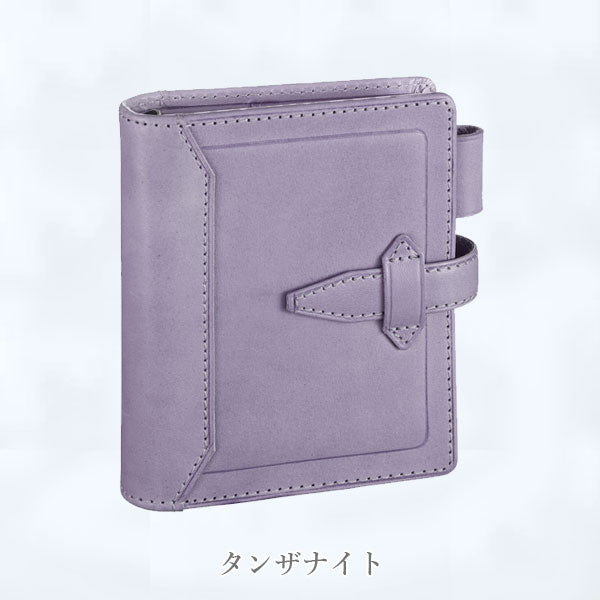 ダ・ヴィンチ ロロマクラシック ジュエルコレクション＆ステンドルーラー システム手帳 mini5サイズ リング内径：16mm [全2色] ※保証書付 レイメイ藤井 DPM1480 【送料無料*】