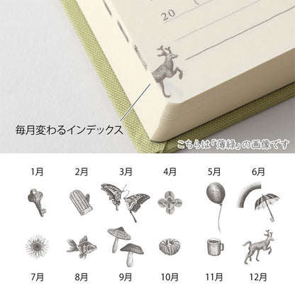 5年連用 扉 ミニ [全2色] デザインフィル(ミドリ)  12715/12716