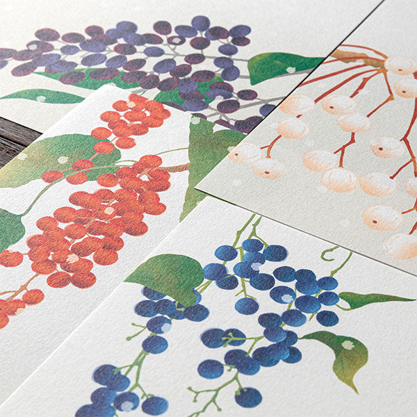 冬レター [便箋] 越前和紙 16枚入り [冬の実柄] デザインフィル(ミドリ) 81000 [M便 1/4]