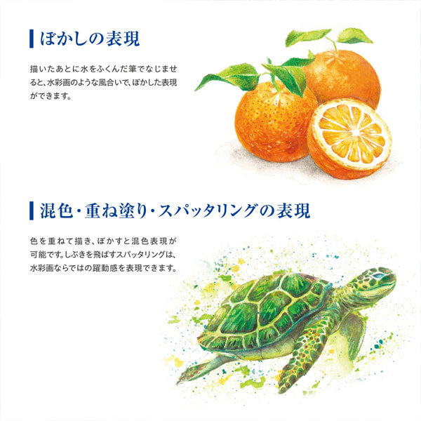 Artline 水彩色鉛筆 LIBERIO《リベリオ》 シヤチハタ KCPL-W60C/H、W100C/H  【送料無料*】