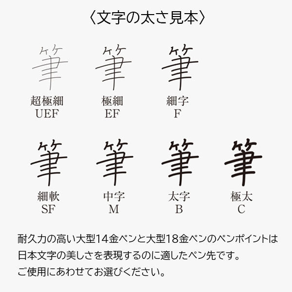 万年筆 ＃3776 センチュリー PNB-15000 [全5色] UEF/EF/F/SF/M/B/C プラチナ万年筆 PNB-15000