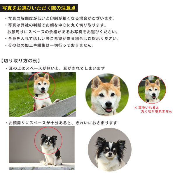 【写真・名入れ可能】犬のケース オリジナル 桐箱 [丸型]