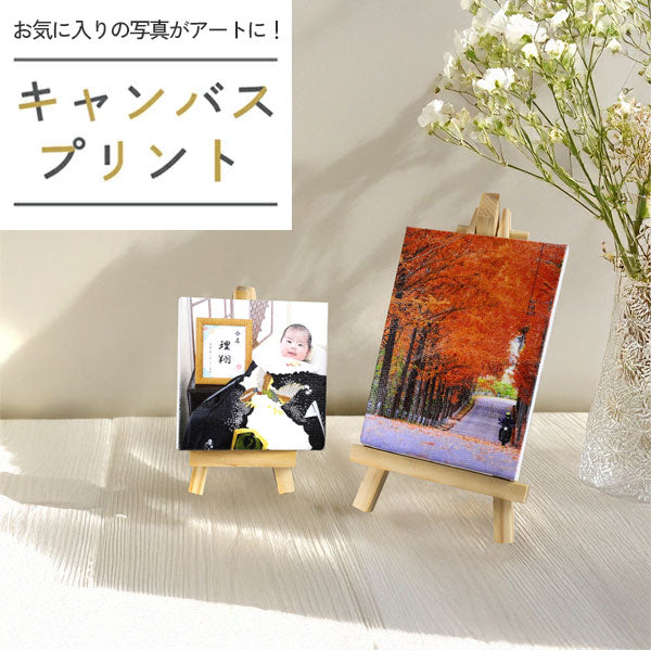 ⭐︎デスク本描き油絵⭐︎模写/F4キャンバス・台付『冬の風景ヴァロリス』 Amazon.co.jp: Doyime キャンバス キャンバスボード (4個セット