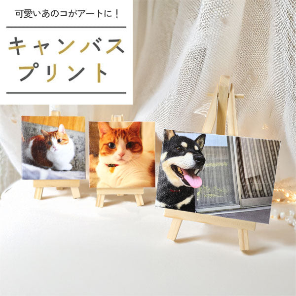 《ペットの写真をアートに》思い出を飾る キャンバスプリントミニ【正方形/長方形】[M便 1/3]