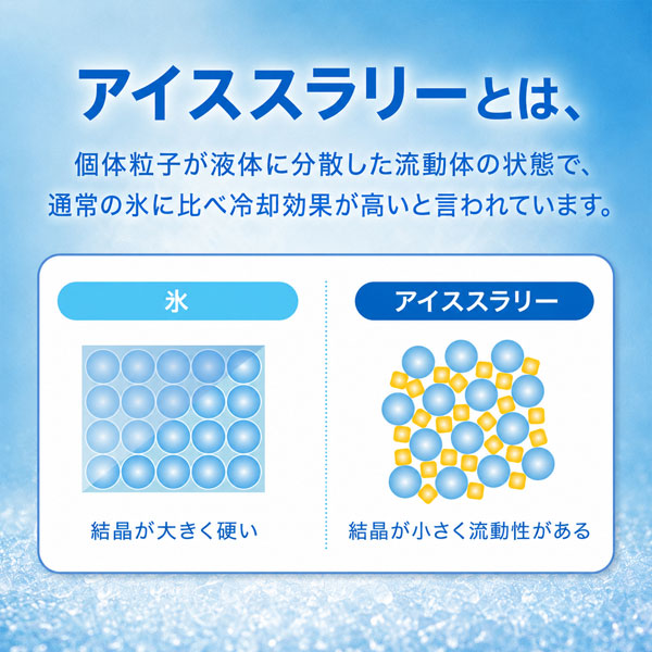 ポカリスエット アイススラリー 100g [6個入] 大塚製薬 ｱｲｽｽﾗﾘｰ6P 【ネコポス送料無料】