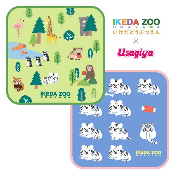 池田動物園×うさぎやコラボ タオルハンカチ [全2種類] オリジナルTH-24/25 [M便 1/3]