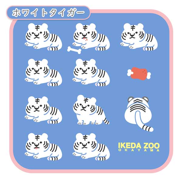 池田動物園×うさぎやコラボ タオルハンカチ [全2種類] オリジナルTH-24