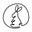 文具専門ストア@Usagiya logo