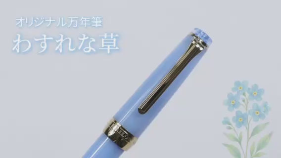 動画がロードされます。